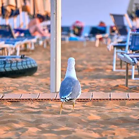 Luminous Flat On The Shores Of Lignano ליגננו סביאדורו
