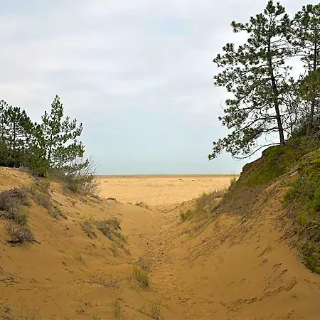 Hotel Luminous Flat On The Shores Of Lignano 3*