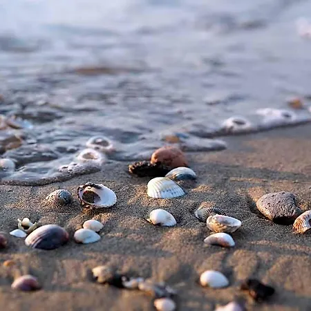 Hotel Luminous Flat On The Shores Of Lignano